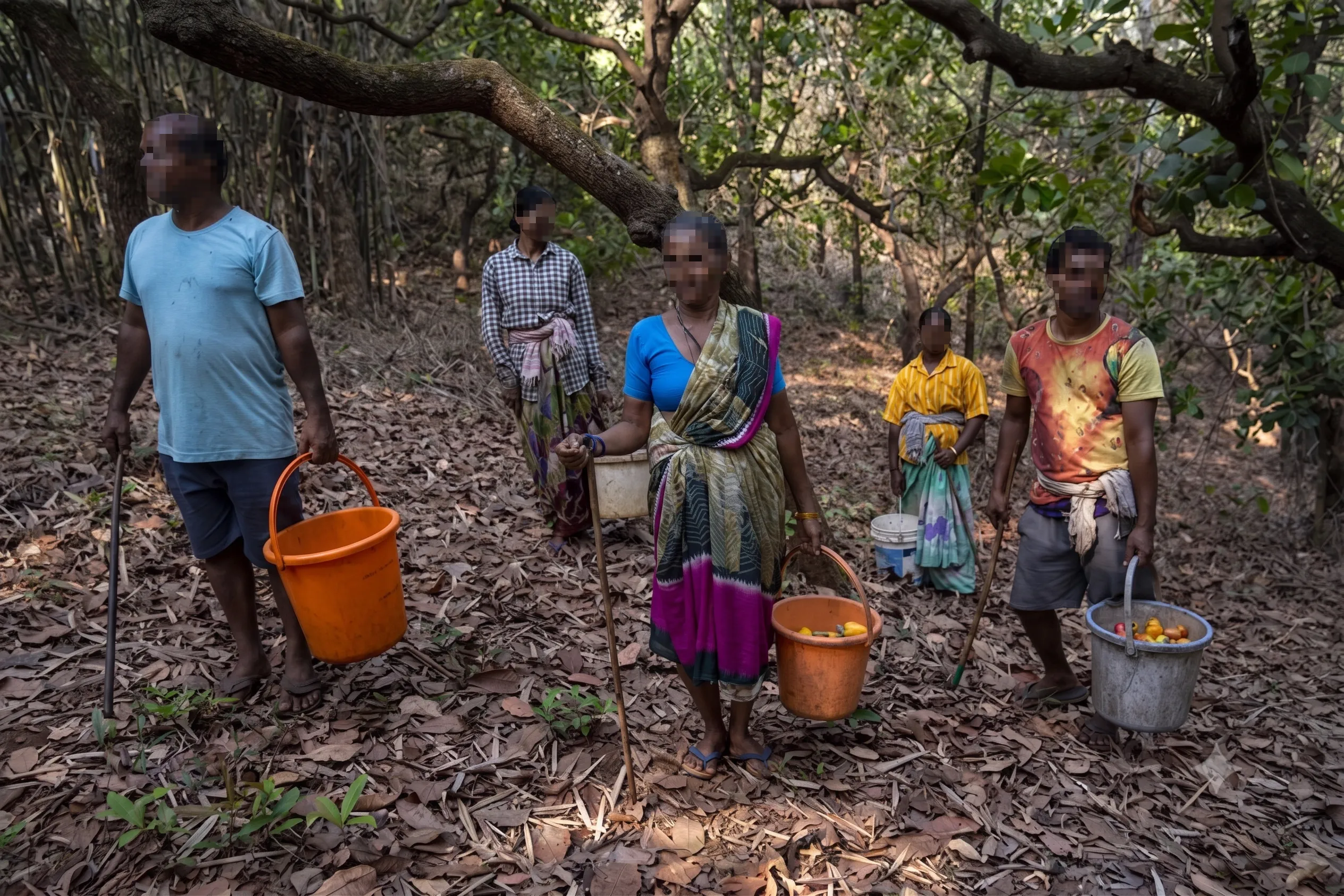 Cashew Farmers and Pickers in Forest