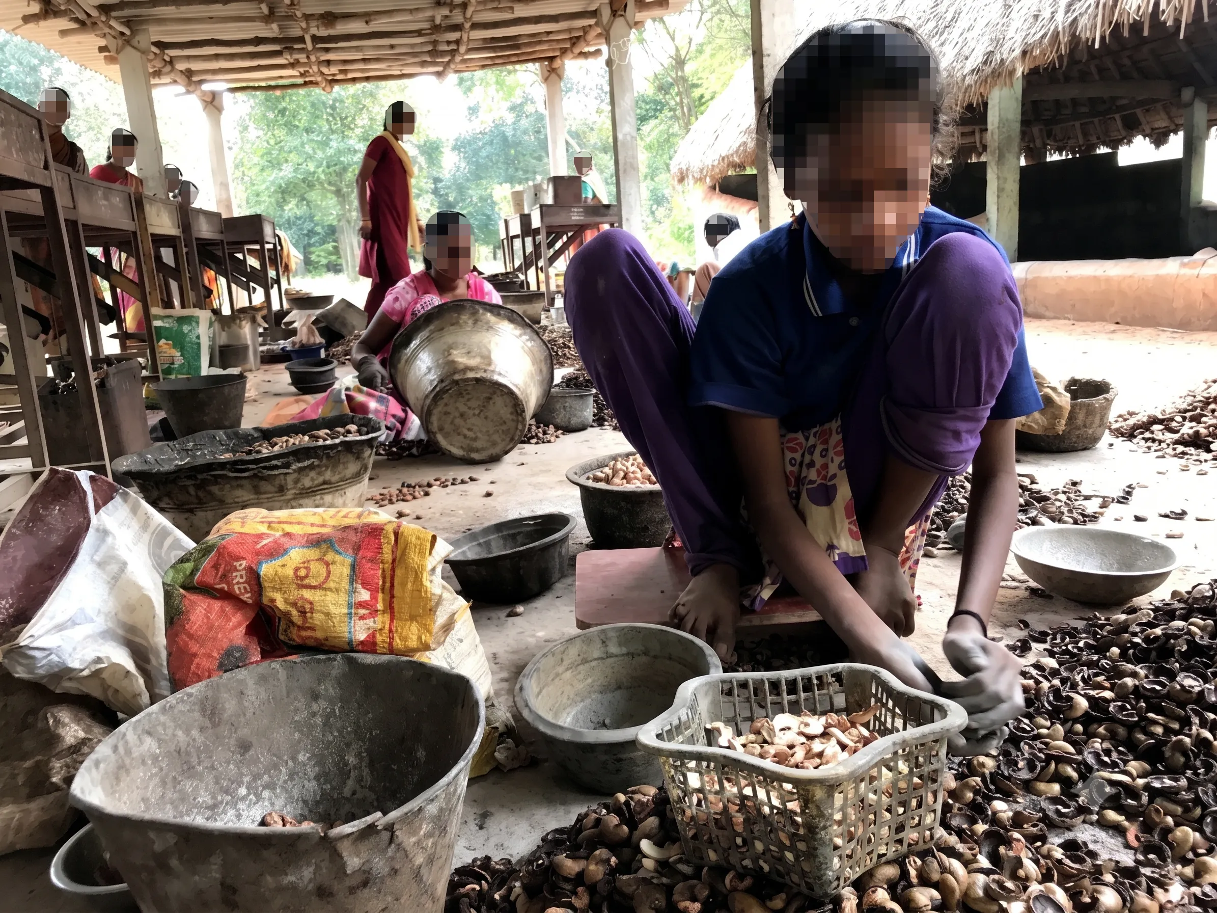 Young Worker Shelling Cashews