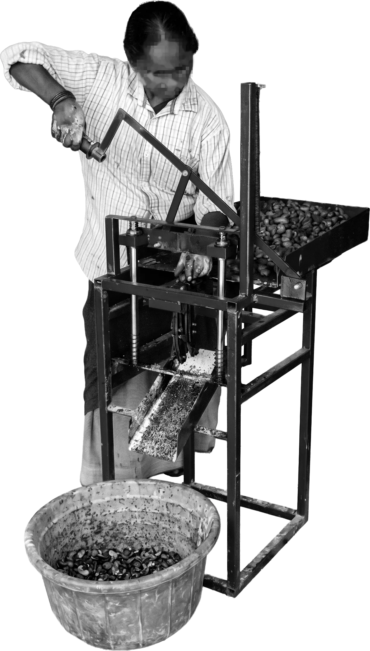 Manual Cashew Shelling Machine Posture